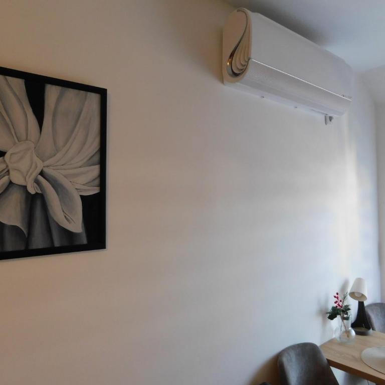 Aurora Lux - Studio - 16