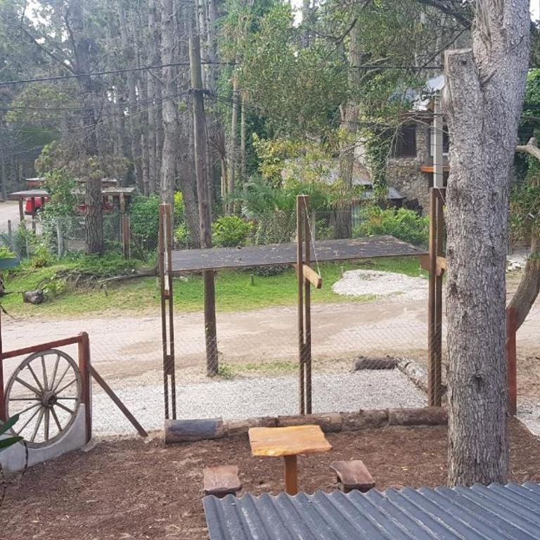 Arauca Copa - Apartamento de 1 dormitorio - 5