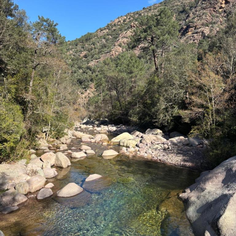 Corse, Calvi T3 lumineux avec piscine, entre mer et montagne - Appartement 2 Chambres - 31