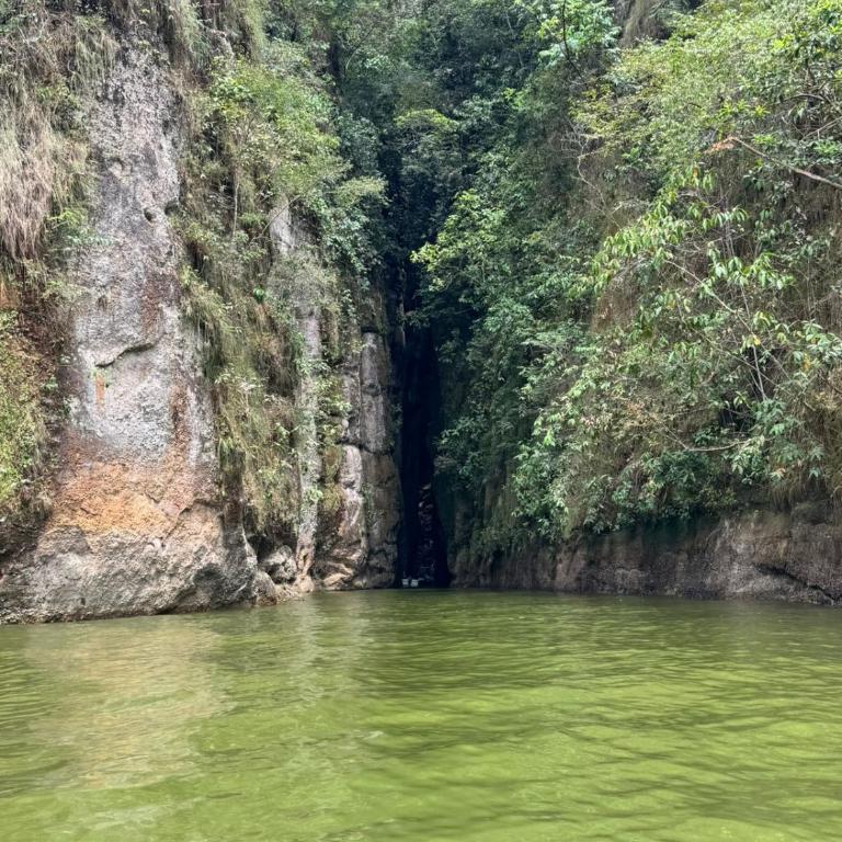 Pradolago Sol Prado Tolima - Casa de 4 dormitorios - 42