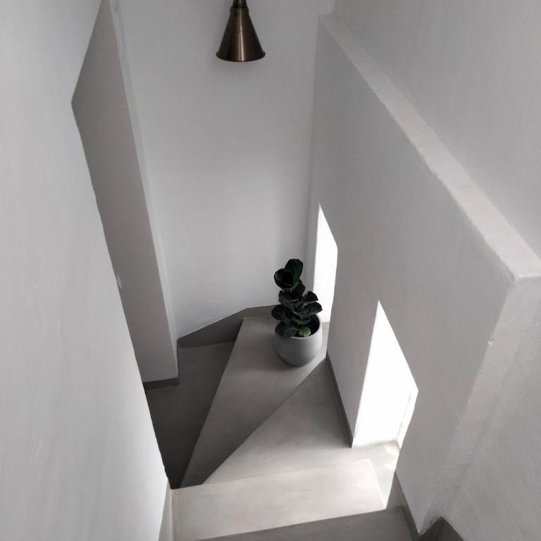 Verde Oliva apartamento - Apartamento de 1 dormitorio - 28