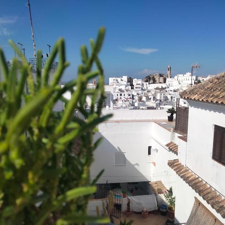 Verde Oliva apartamento - Apartamento de 1 dormitorio - 33