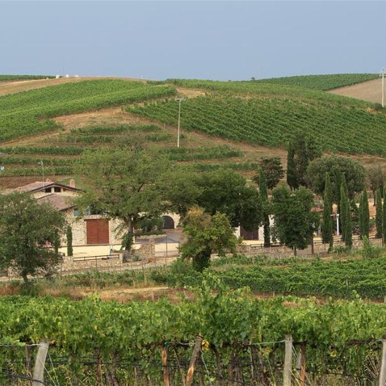 Azienda Agricola A Bonacchi - Appartamento con 1 Camera da Letto - 4