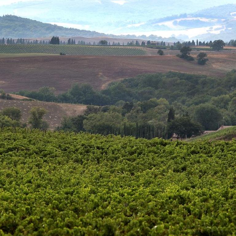 Azienda Agricola A Bonacchi - Appartamento con 1 Camera da Letto - 5