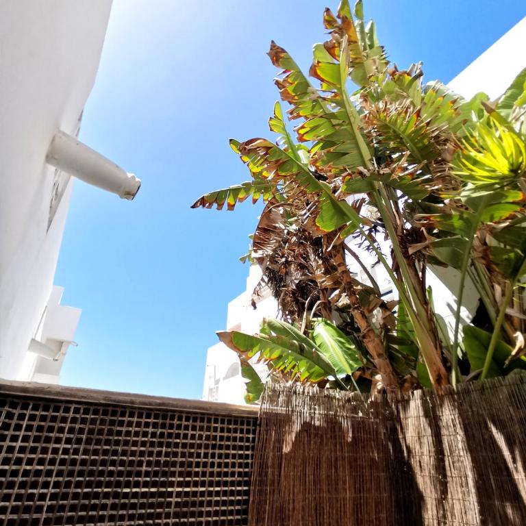 Sun & Beach 9 - Apartamento de 2 dormitorios - 45