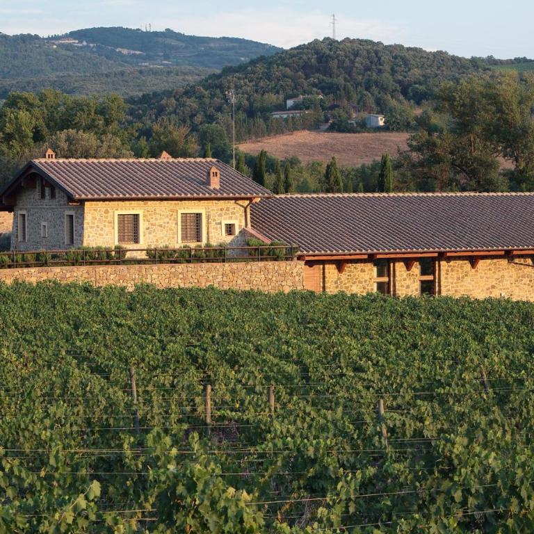 Azienda Agricola A Bonacchi - Appartamento con 1 Camera da Letto - 8