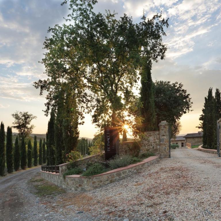 Azienda Agricola A Bonacchi - Appartamento con 1 Camera da Letto - 9