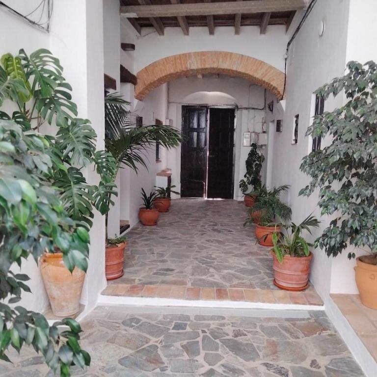 Verde Oliva apartamento - Apartamento de 1 dormitorio - 51