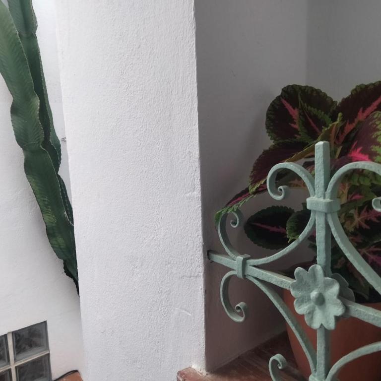 Verde Oliva apartamento - Apartamento de 1 dormitorio - 50