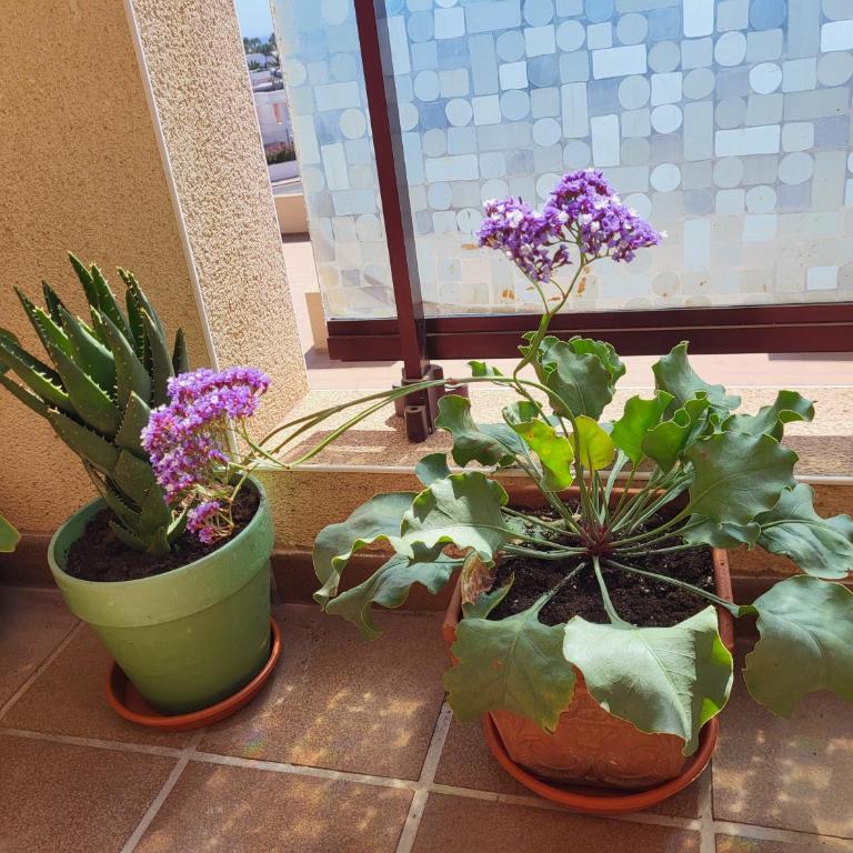 Designer Apartment with Breathtaking Terrace in Corralejo - Apartamento de 2 dormitorios - 35