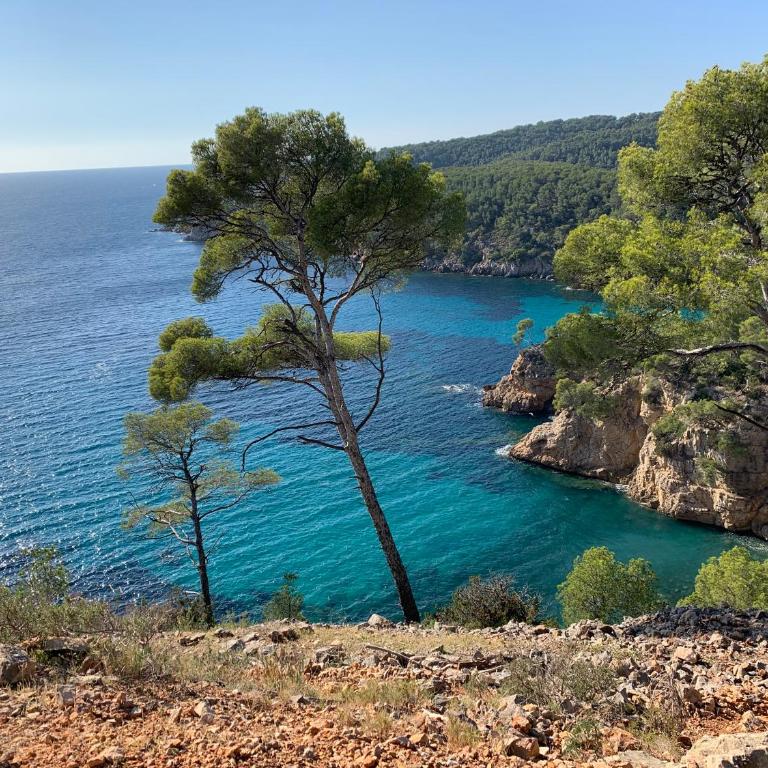 Villa 900 m du centre et plages, piscine, parking - Villa 3 Chambres - 32