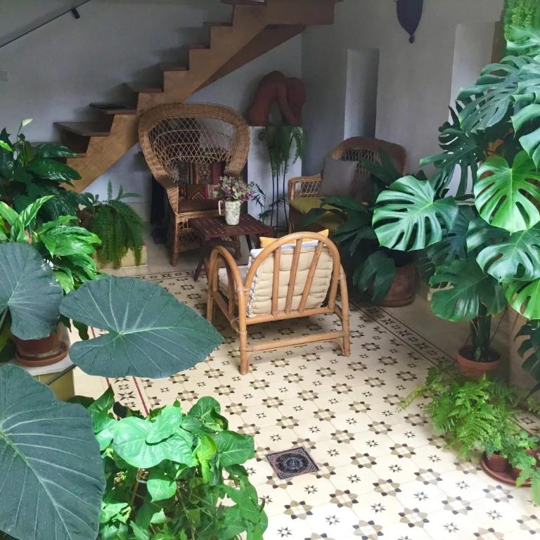 Apartamento en Casa Patio "Pan y Conejo" - Apartamento - Planta baja - 2