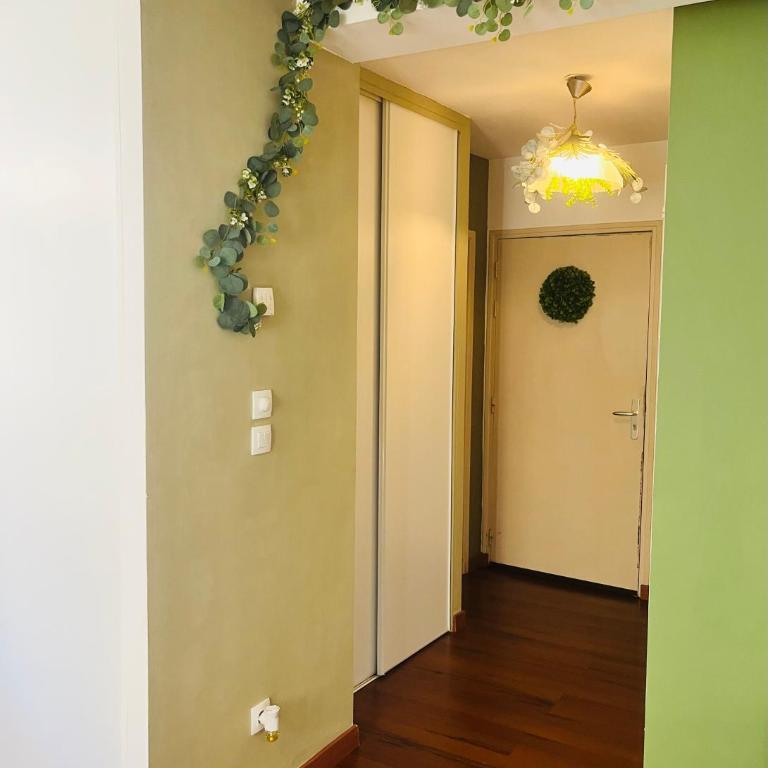 L émeraude - Appartement 1 Chambre - 15