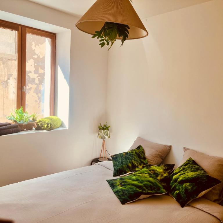 L émeraude - Appartement 1 Chambre - 16