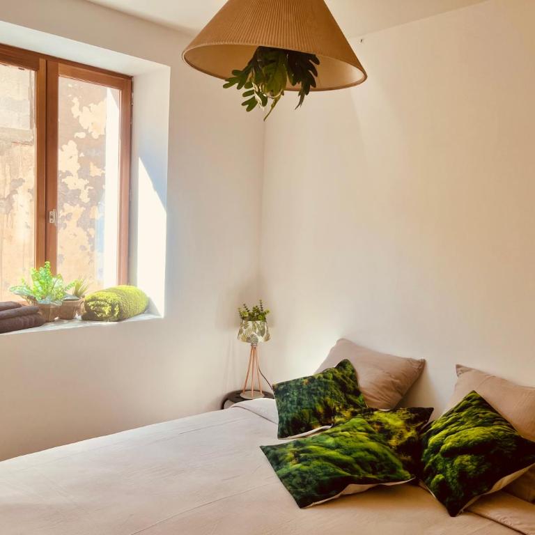 L émeraude - Appartement 1 Chambre - 1