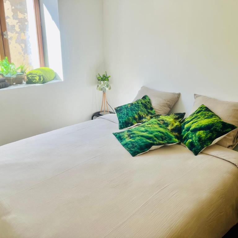 L émeraude - Appartement 1 Chambre - 17