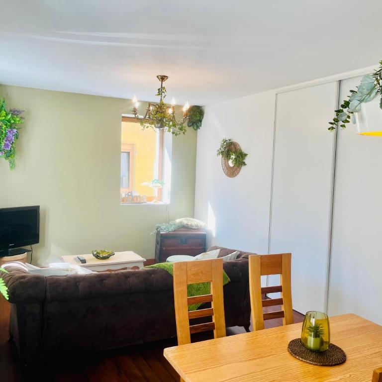 L émeraude - Appartement 1 Chambre - 6