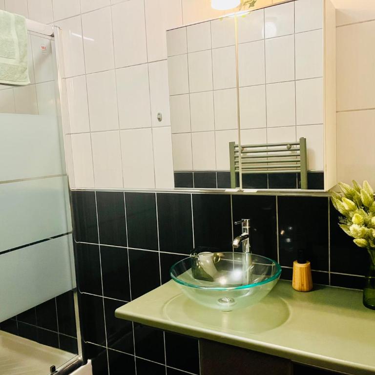 L émeraude - Appartement 1 Chambre - 12