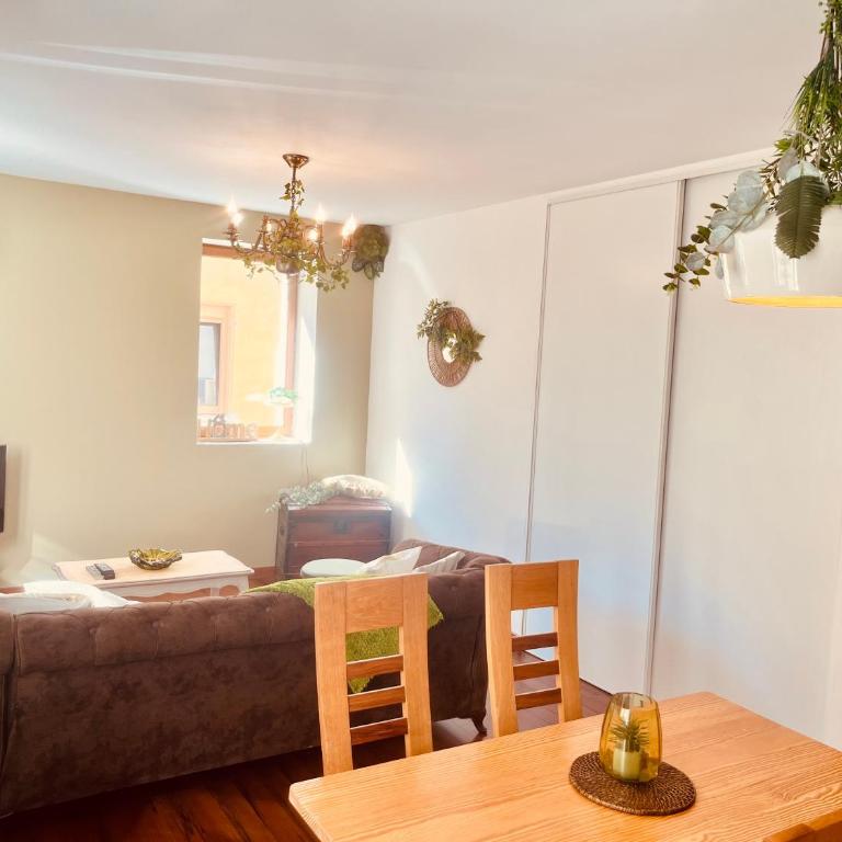 L émeraude - Appartement 1 Chambre - 8