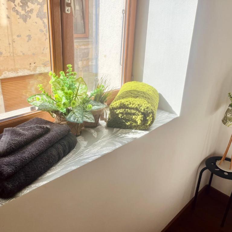 L émeraude - Appartement 1 Chambre - 21