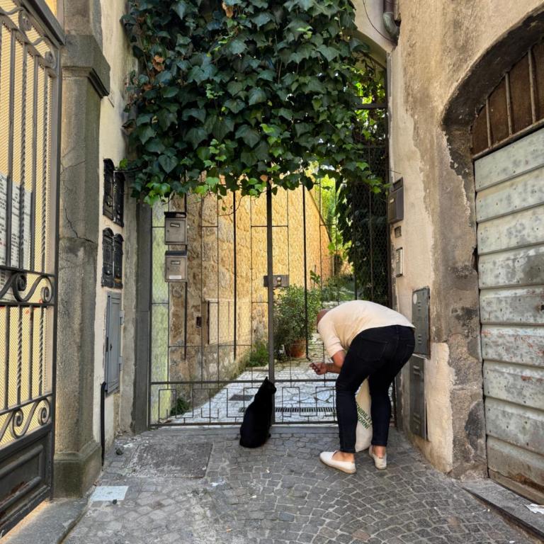 Casa dell'Edera T - Appartamento con 1 Camera da Letto - 25