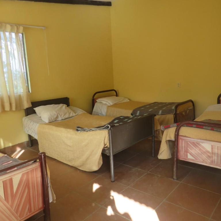 Franklin Hostel & Camping - Habitación Compartida Femenina - 1