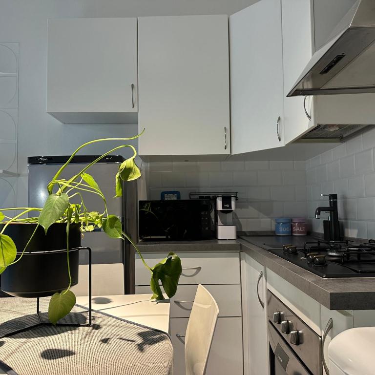 Algardi Prestige Apartment - One-Bedroom Apartment - 17