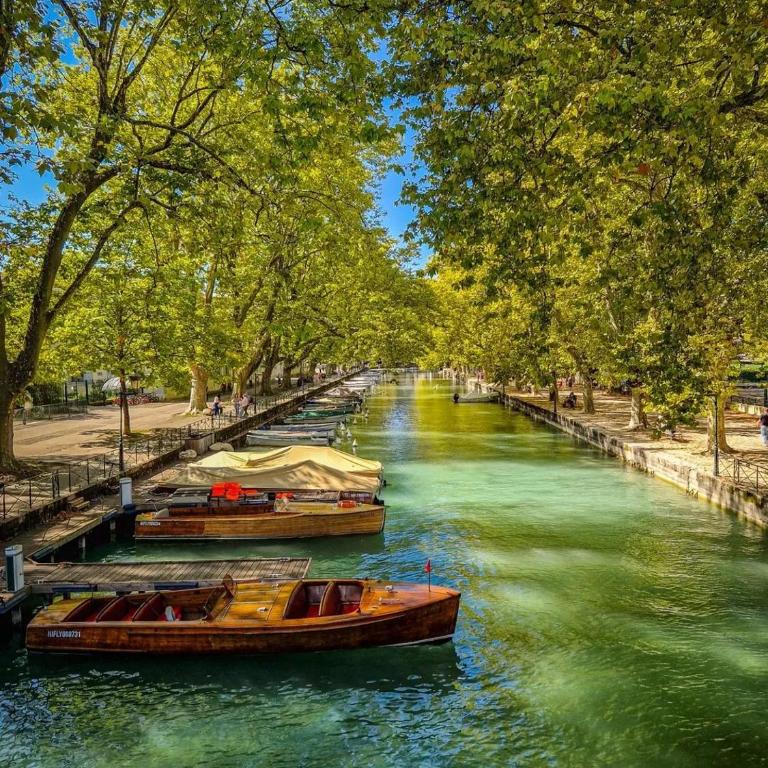 Appartement Cozy en rez de jardin avec Plage et Parking Privés au Bord du Lac d'Annecy - Appartement 1 Chambre - 42