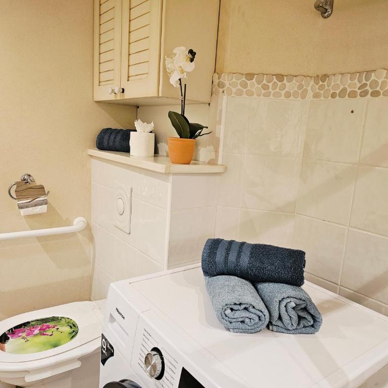 Appartement Cozy en rez de jardin avec Plage et Parking Privés au Bord du Lac d'Annecy - Appartement 1 Chambre - 25