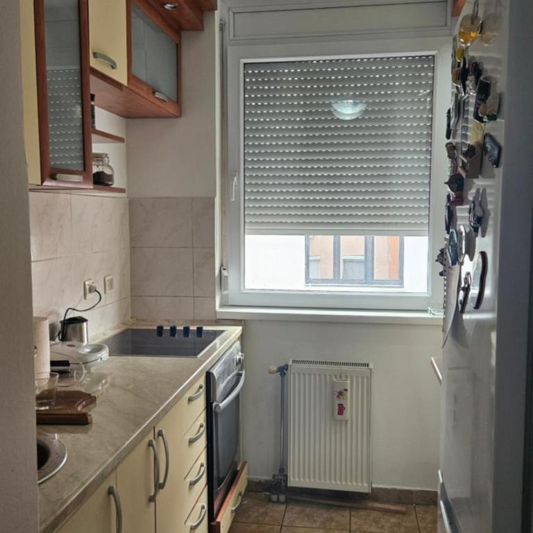 Aleksandra - Apartman sa 1 Spavaćom Sobom - 4