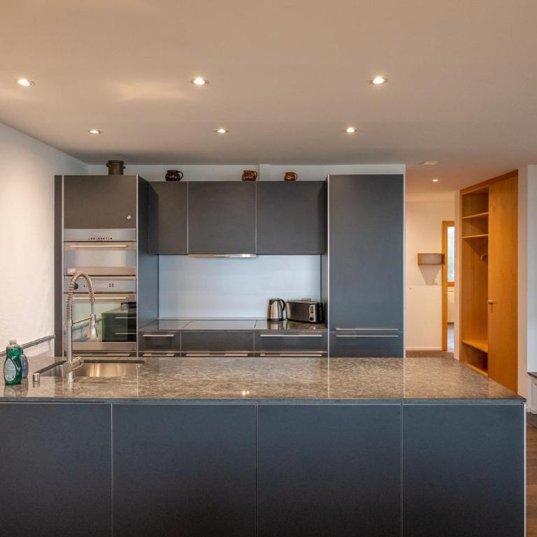 Edelweiss Ferienwohnung, Panoramablick - Apartment mit Blick auf die Berge - 12