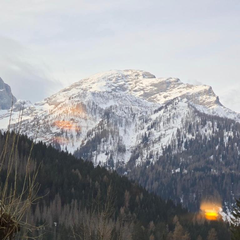 Rifugio di Niki - Appartamento con 1 Camera da Letto - 16