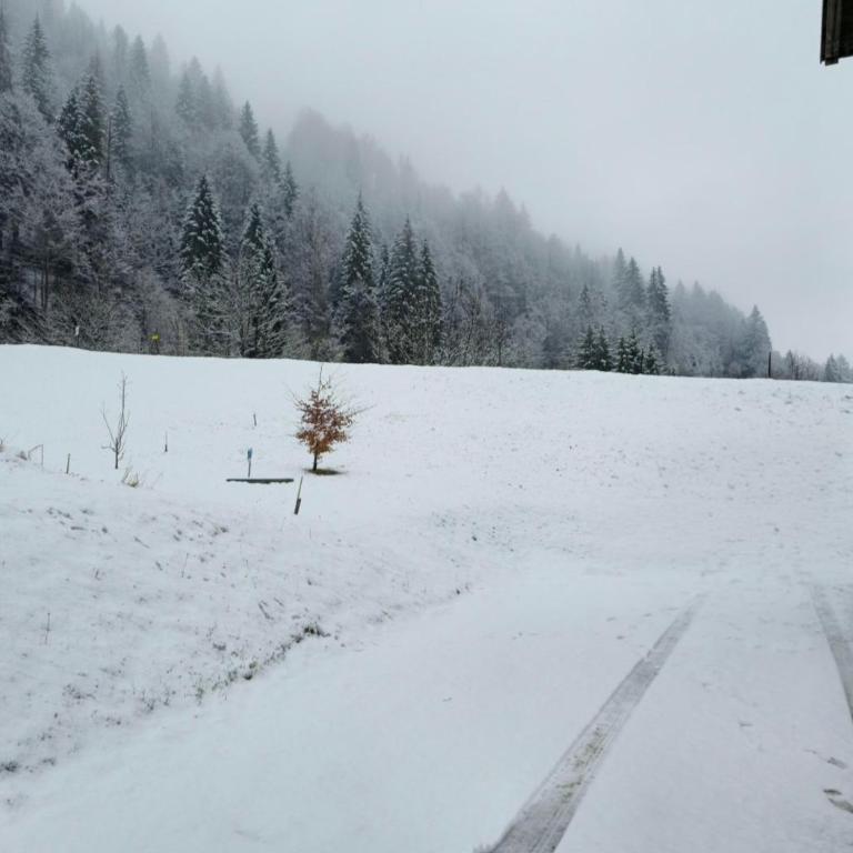 Rifugio di Niki - Appartamento con 1 Camera da Letto - 18