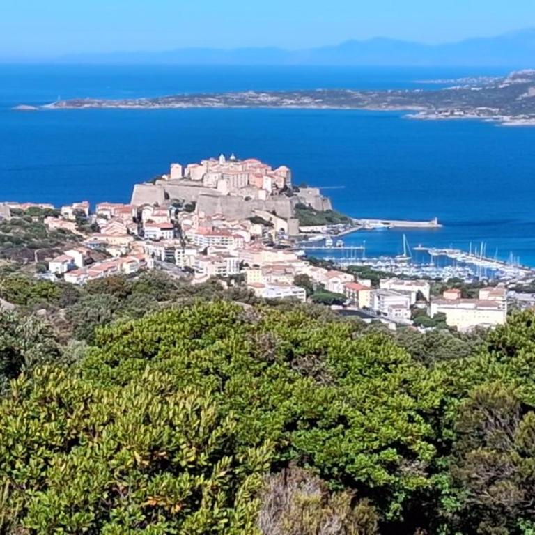 Aux rivages de Sylvie - 150 m de la plage - Appartement 1 Chambre - 35