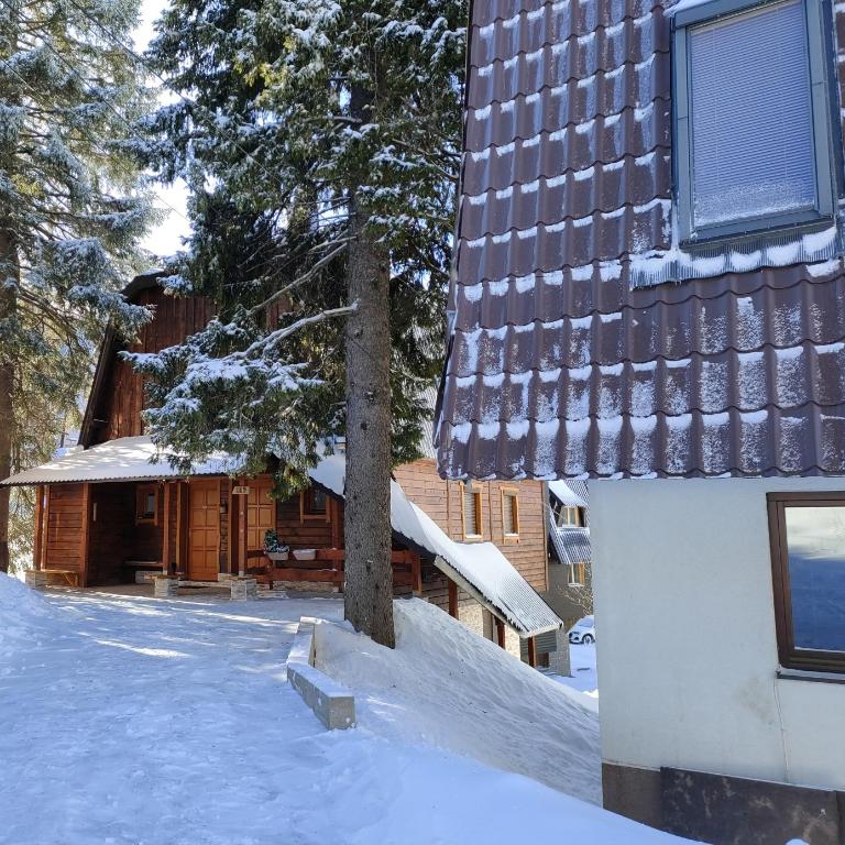 Praška zima - Apartman sa 2 Spavaće Sobe - 2