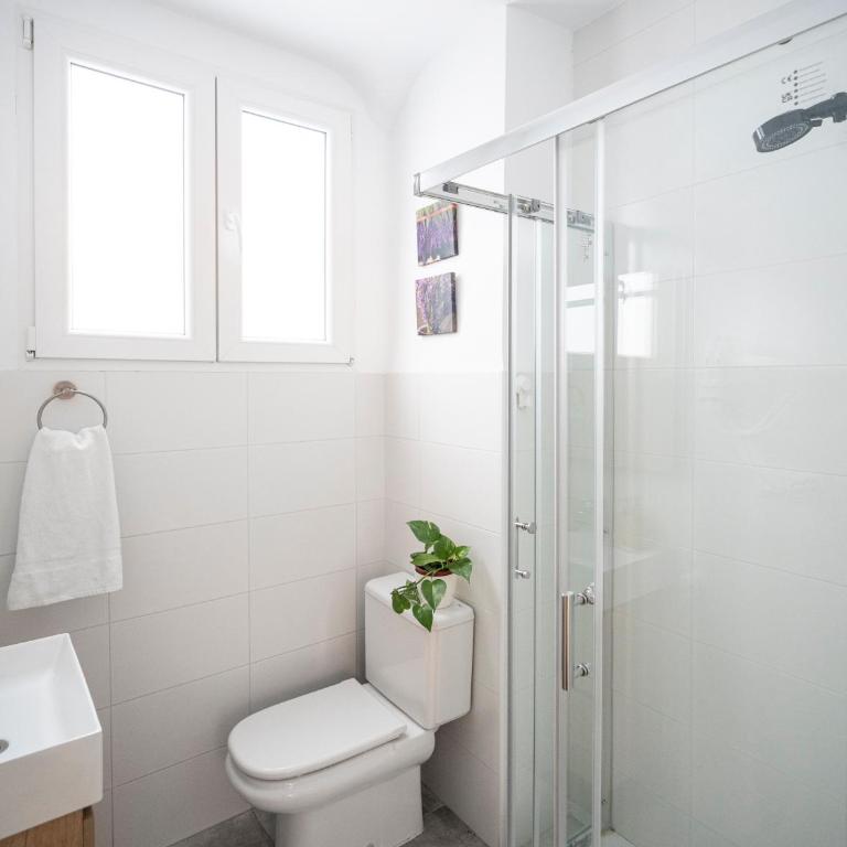 Casa 1919 Central near Cathedral Apartments 1B - One-Bedroom Apartment - 24