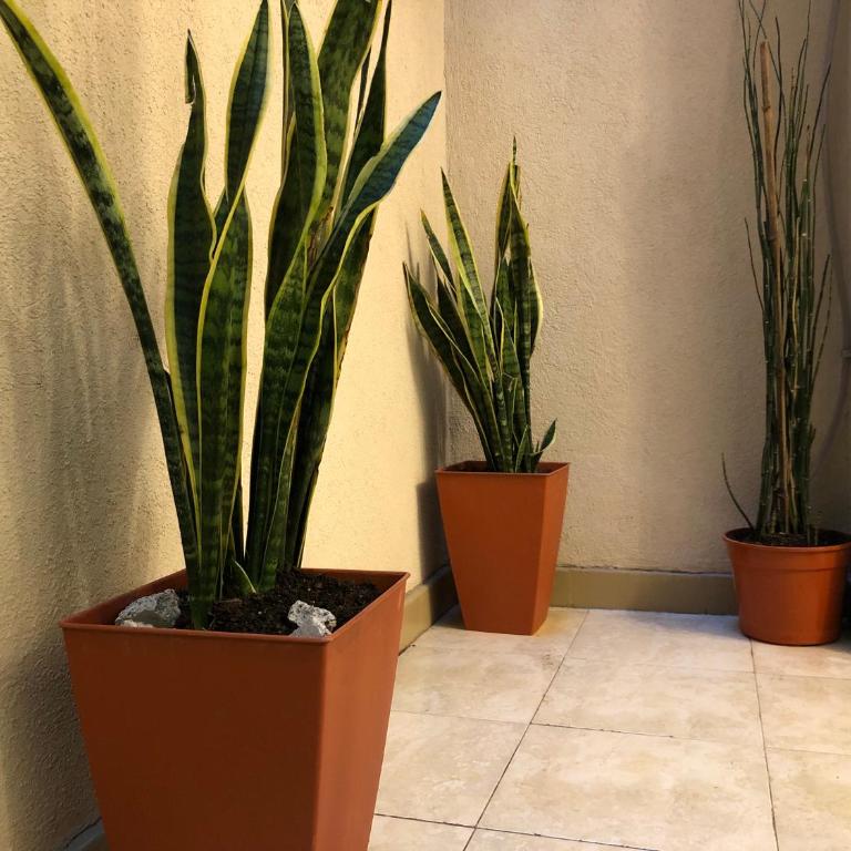 Terrazas Recoleta, Apartamento - Apartamento de 1 dormitorio - 21