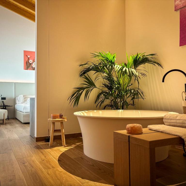 Tenuta Tommasi - Relais Bacco - Junior Suite con Terrazza - 13