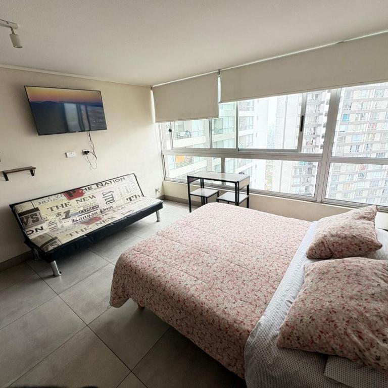 SantiagoCentral - One-Bedroom Apartment - 11