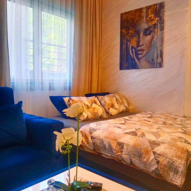 Kraljica Spa - Studio Apartment - 6