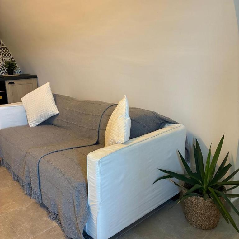 Logement dans un centre équestre - Appartement 1 Chambre - 20