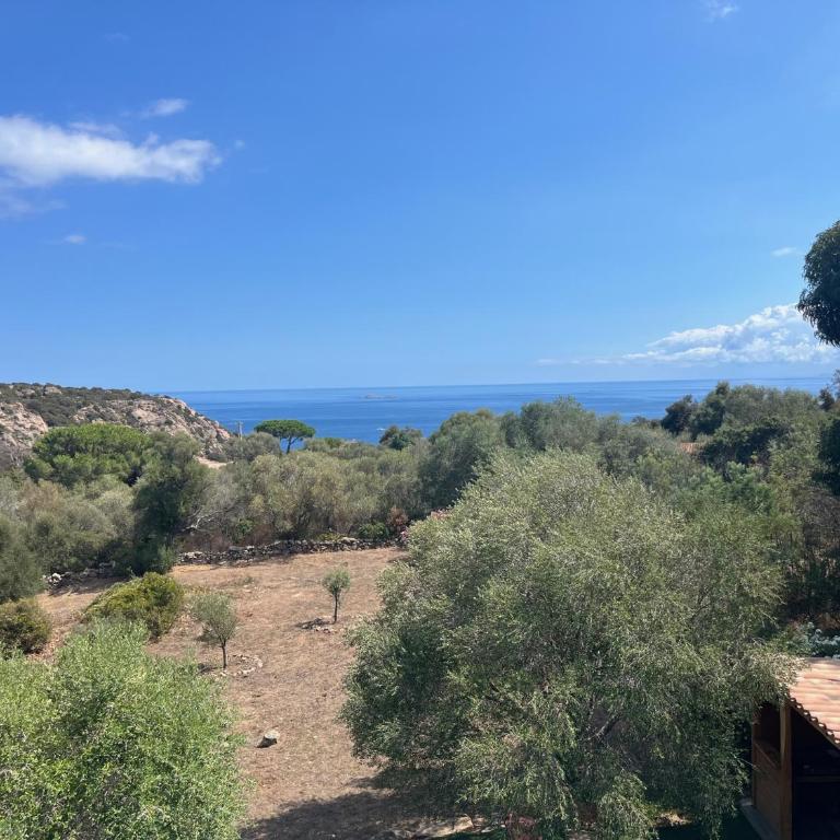 House with sea view, Route de Palombaggia - Villa de 3 dormitorios - 11