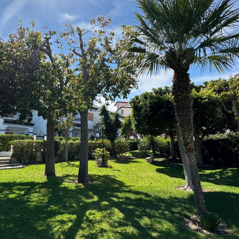 Apartment in La Mata Parquemar - Apartamento de 2 dormitorios - 42