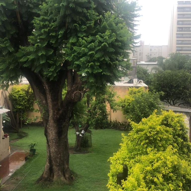 Conoce Santiago a pie - Apartamento de 2 dormitorios - 10