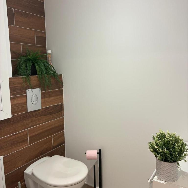 Logement dans un centre équestre - Appartement 2 Chambres - 16
