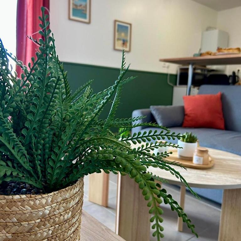 Un cocon tout confort à La Rochelle - proche gare & plages - Apartment mit 1 Schlafzimmer - 11