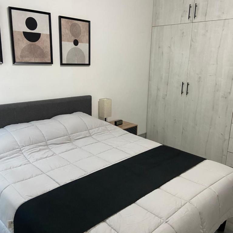 Spacious apartment, 5 minutes from Fundidora Park - One-Bedroom Apartment - 5