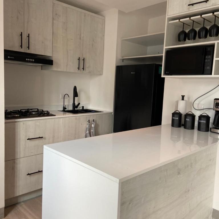 Spacious apartment, 5 minutes from Fundidora Park - One-Bedroom Apartment - 6