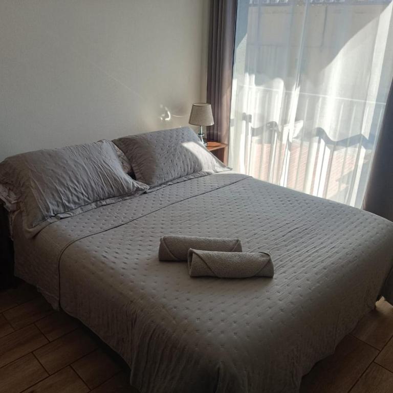 Espectacular Departamento - Apartamento de 1 dormitorio - 3