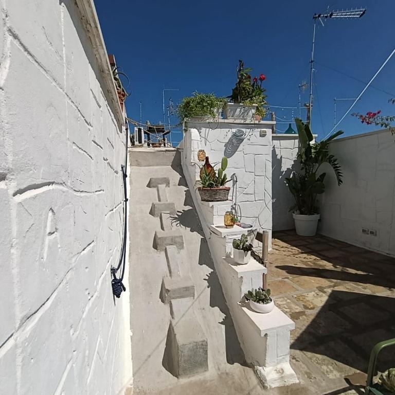 Antico Gelso - Casa Vacanze - 33